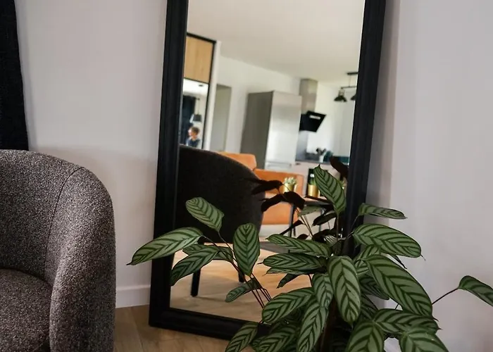 Maison Familiale Albi *